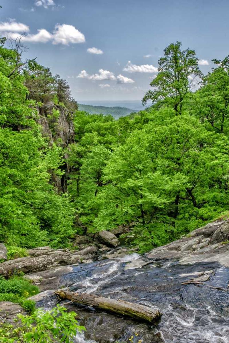 免費行情9.1網站不用下載官方版下載-免費行情9.1網站不用下載正版v1.3.5-視頻動漫網站入口大全在線免費頁面3